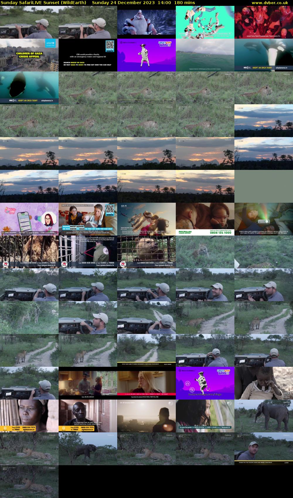 Sunday SafariLIVE Sunset (WildEarth) Sunday 24 December 2023 14:00 - 17:00