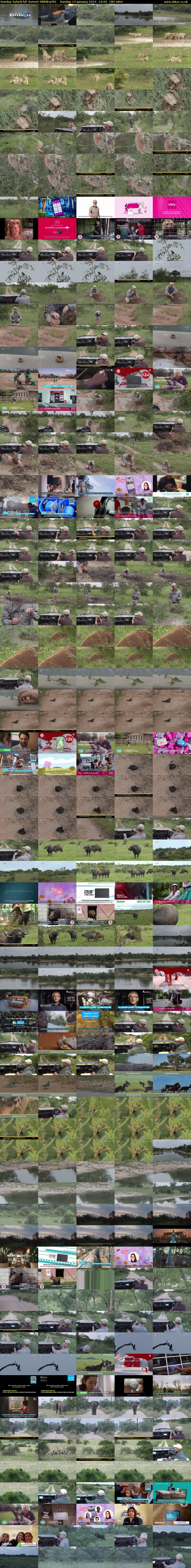 Sunday SafariLIVE Sunset (WildEarth) Sunday 14 January 2024 14:00 - 17:00