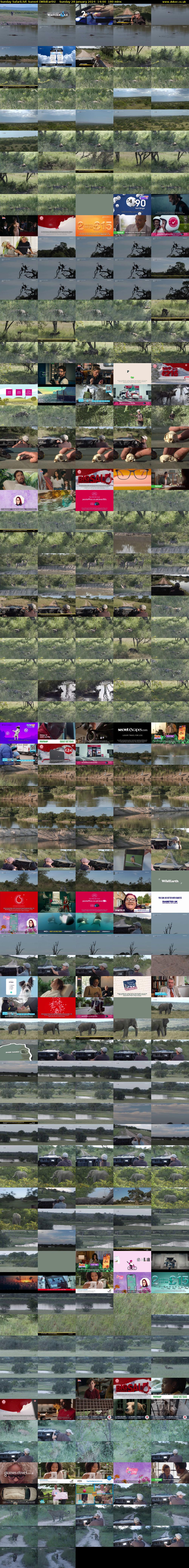 Sunday SafariLIVE Sunset (WildEarth) Sunday 28 January 2024 14:00 - 17:00