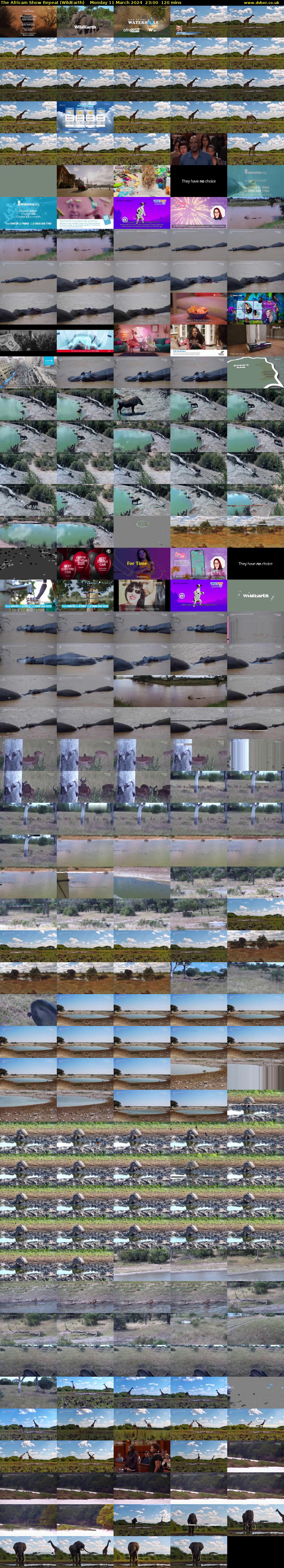 The Africam Show Repeat (WildEarth) Monday 11 March 2024 23:00 - 01:00