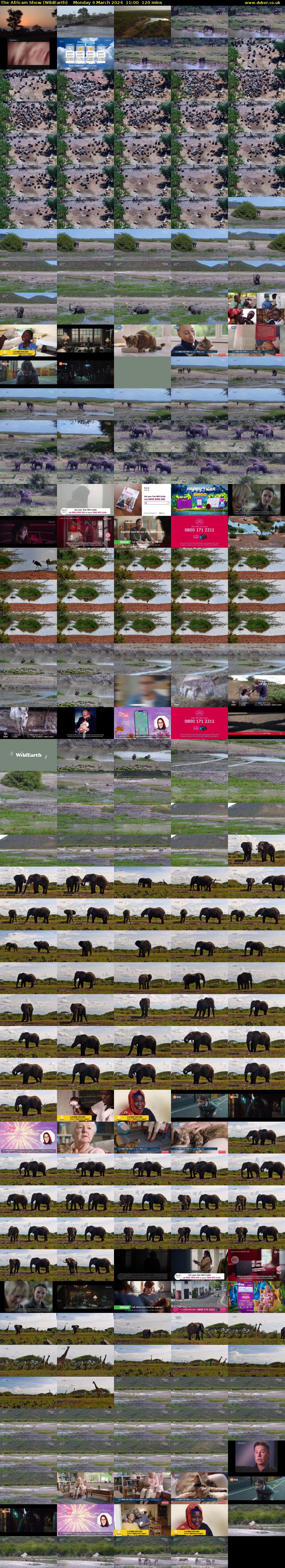 The Africam Show (WildEarth) Monday 4 March 2024 11:00 - 13:00