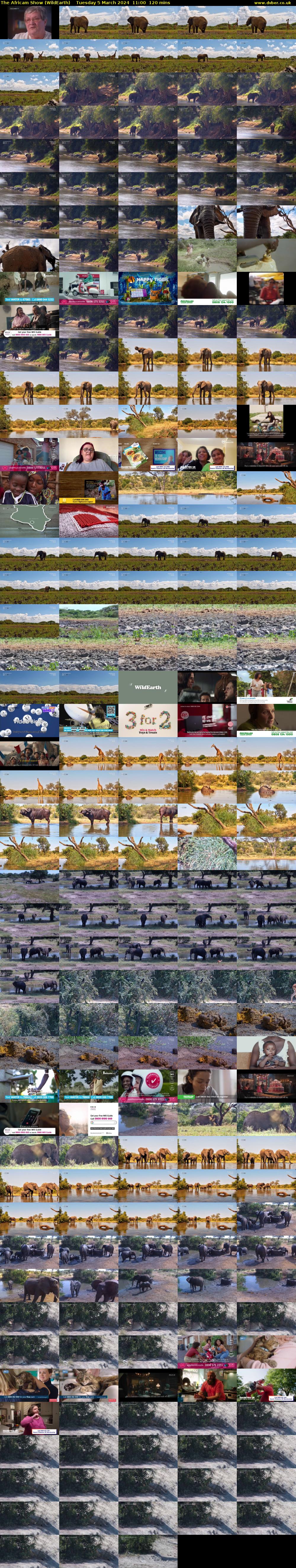 The Africam Show (WildEarth) Tuesday 5 March 2024 11:00 - 13:00