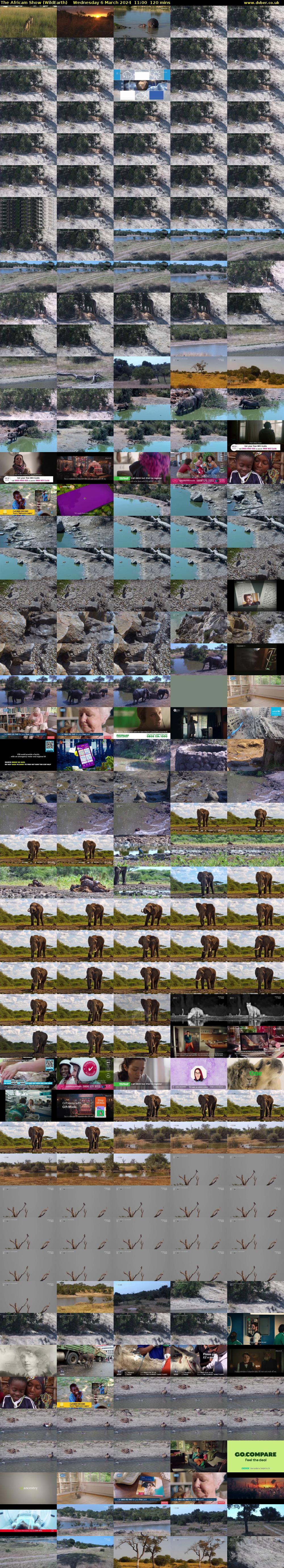The Africam Show (WildEarth) Wednesday 6 March 2024 11:00 - 13:00
