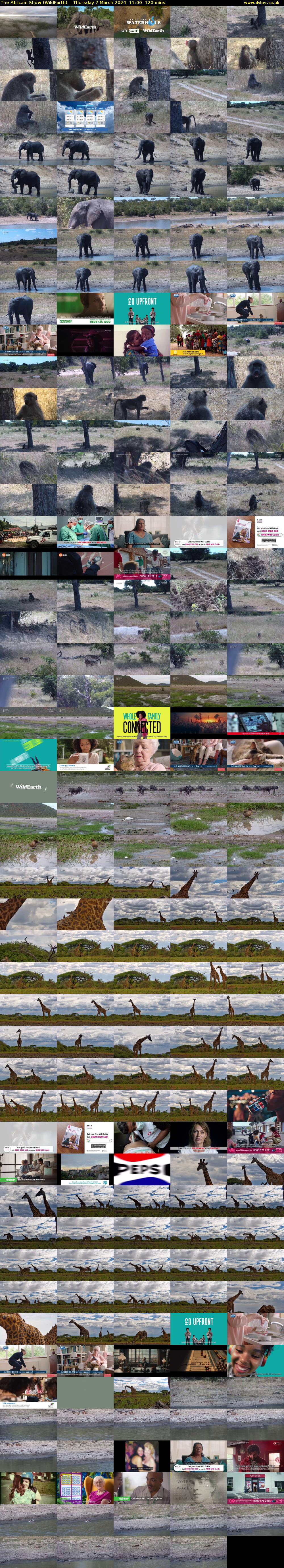 The Africam Show (WildEarth) Thursday 7 March 2024 11:00 - 13:00