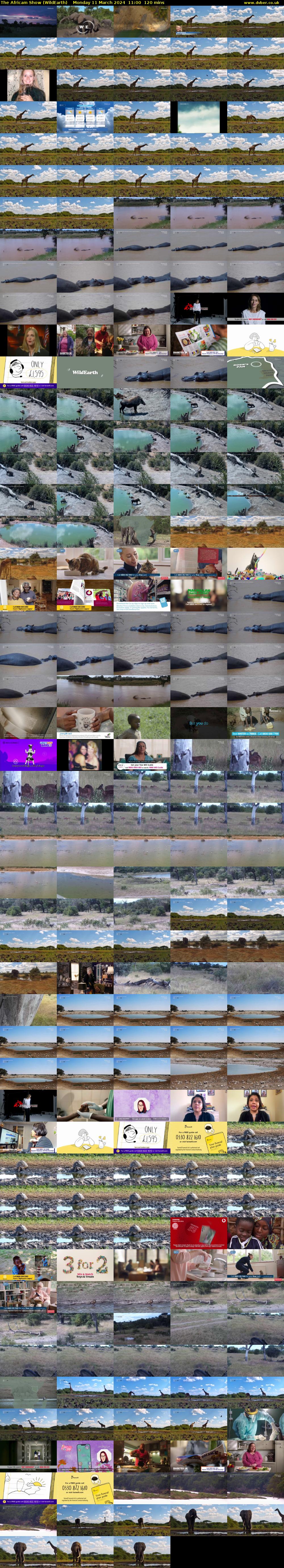 The Africam Show (WildEarth) Monday 11 March 2024 11:00 - 13:00
