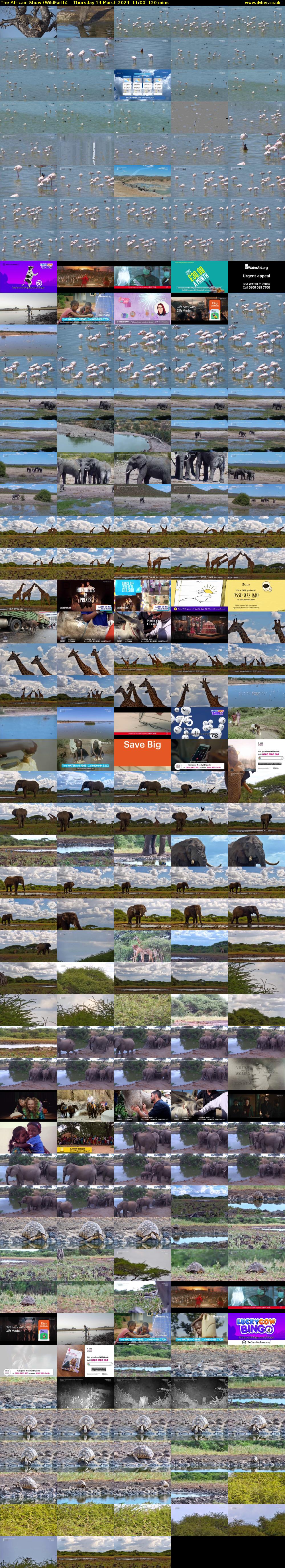 The Africam Show (WildEarth) Thursday 14 March 2024 11:00 - 13:00