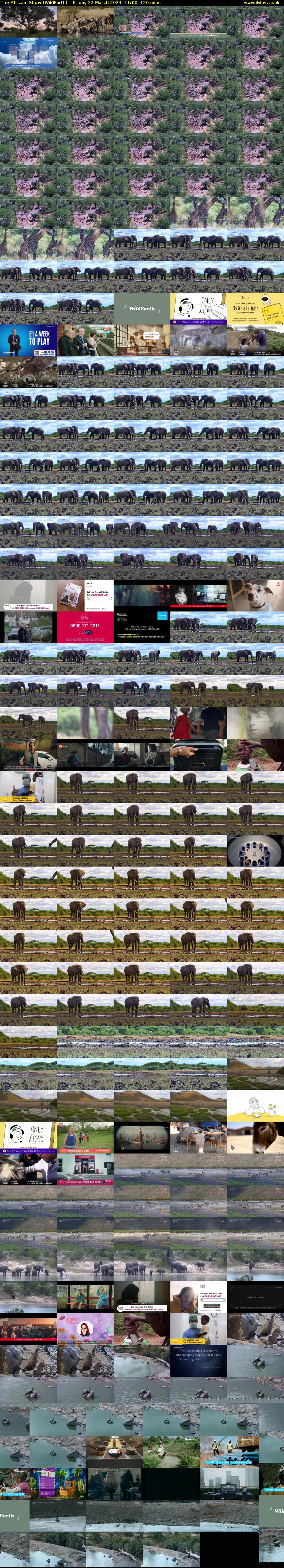 The Africam Show (WildEarth) Friday 22 March 2024 11:00 - 13:00