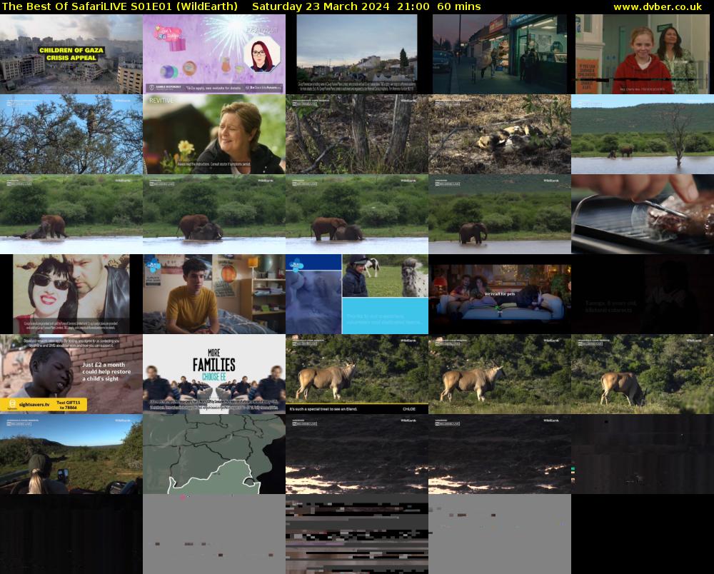 The Best Of SafariLIVE S01E01 (WildEarth) Saturday 23 March 2024 21:00 - 22:00