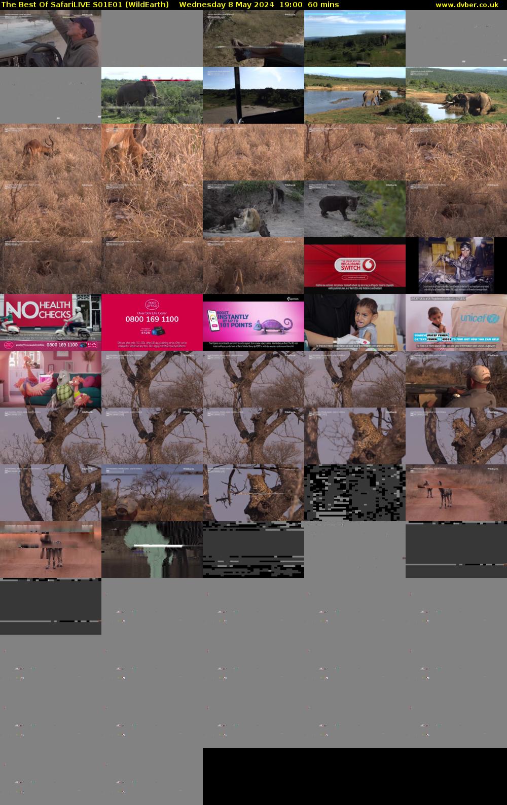 The Best Of SafariLIVE S01E01 (WildEarth) Wednesday 8 May 2024 19:00 - 20:00