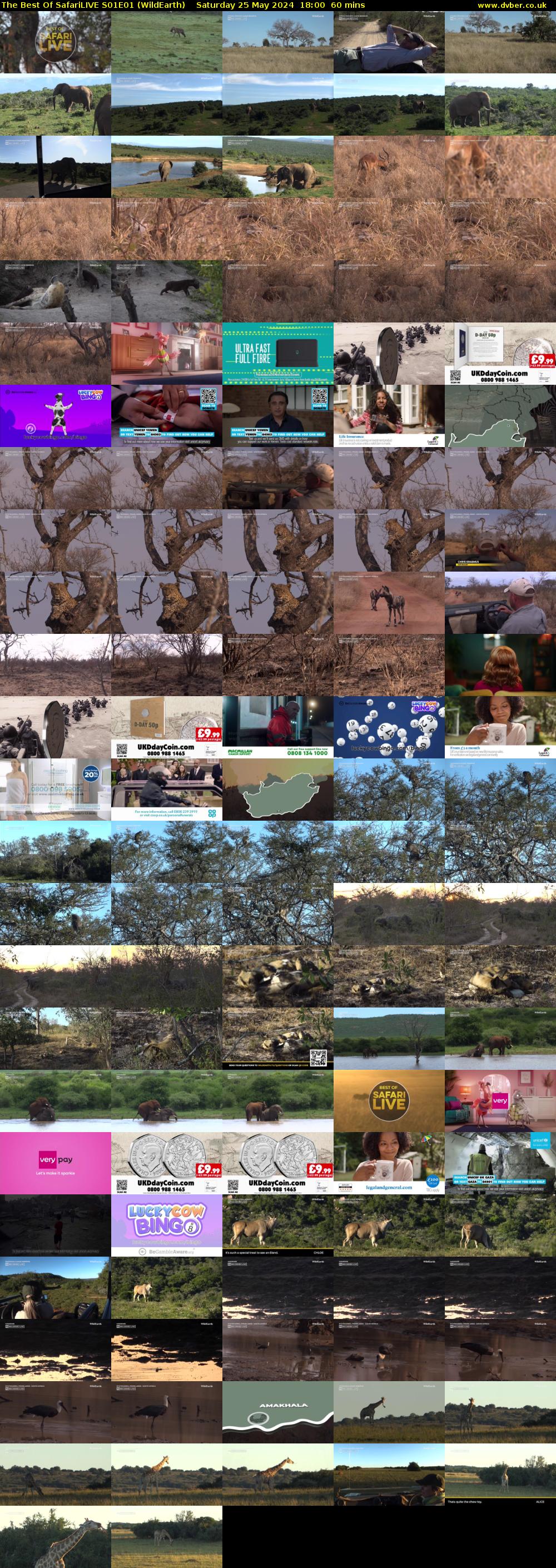 The Best Of SafariLIVE S01E01 (WildEarth) Saturday 25 May 2024 18:00 - 19:00