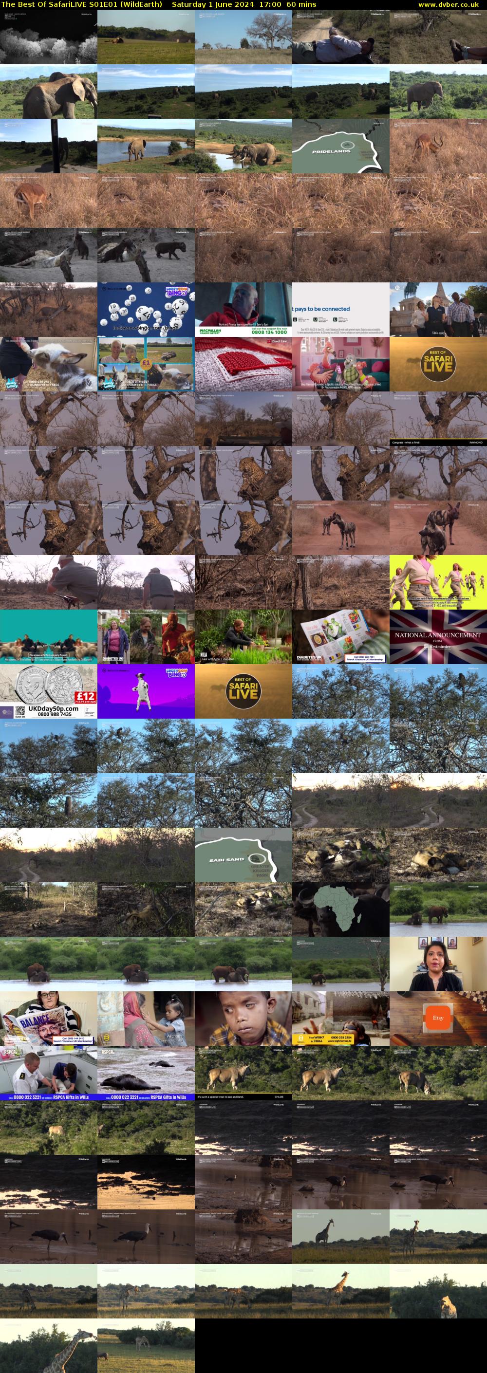 The Best Of SafariLIVE S01E01 (WildEarth) Saturday 1 June 2024 17:00 - 18:00