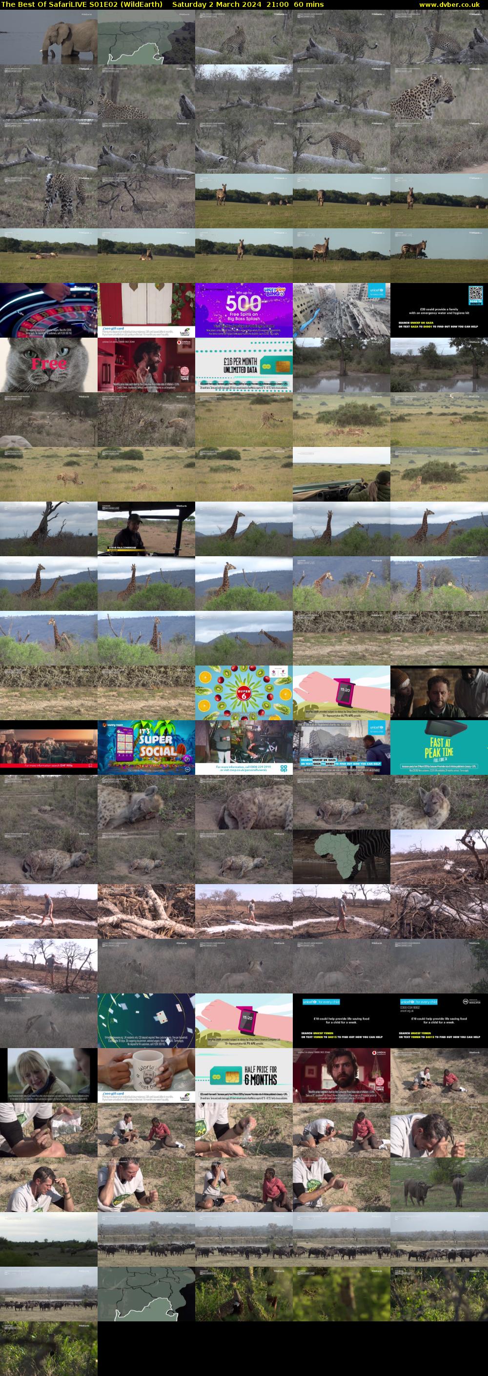 The Best Of SafariLIVE S01E02 (WildEarth) Saturday 2 March 2024 21:00 - 22:00