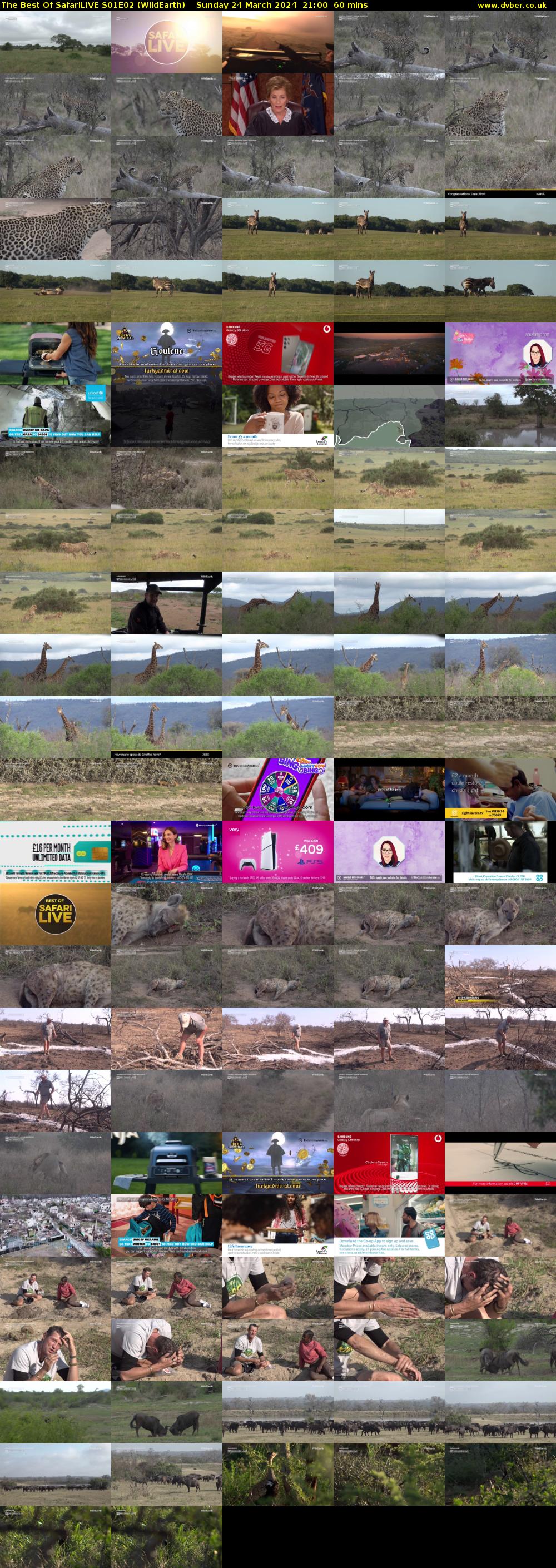 The Best Of SafariLIVE S01E02 (WildEarth) Sunday 24 March 2024 21:00 - 22:00