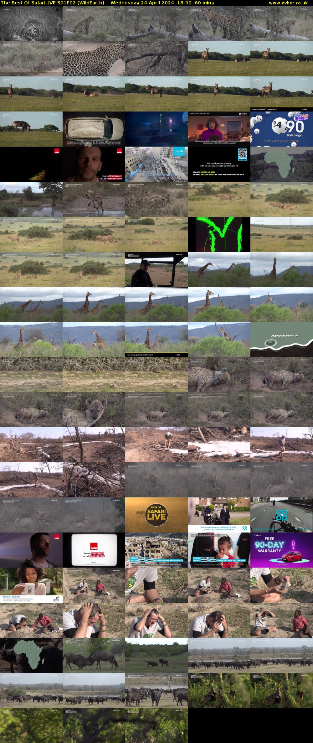 The Best Of SafariLIVE S01E02 (WildEarth) Wednesday 24 April 2024 18:00 - 19:00