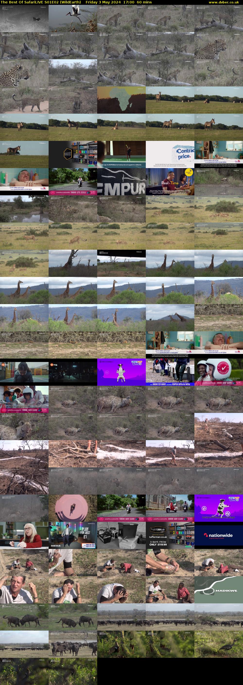The Best Of SafariLIVE S01E02 (WildEarth) Friday 3 May 2024 17:00 - 18:00