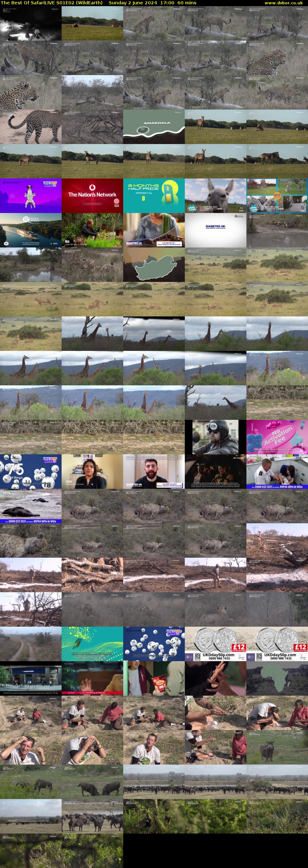 The Best Of SafariLIVE S01E02 (WildEarth) Sunday 2 June 2024 17:00 - 18:00