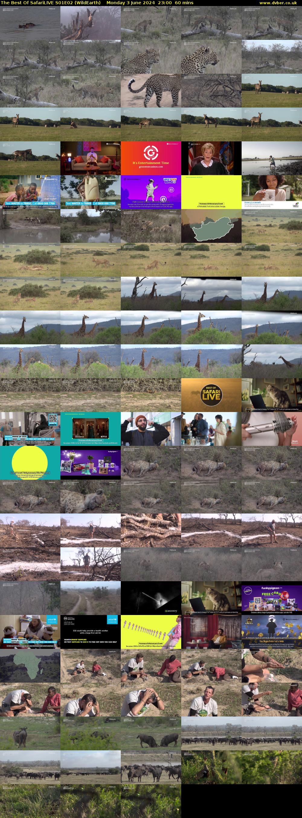 The Best Of SafariLIVE S01E02 (WildEarth) Monday 3 June 2024 23:00 - 00:00