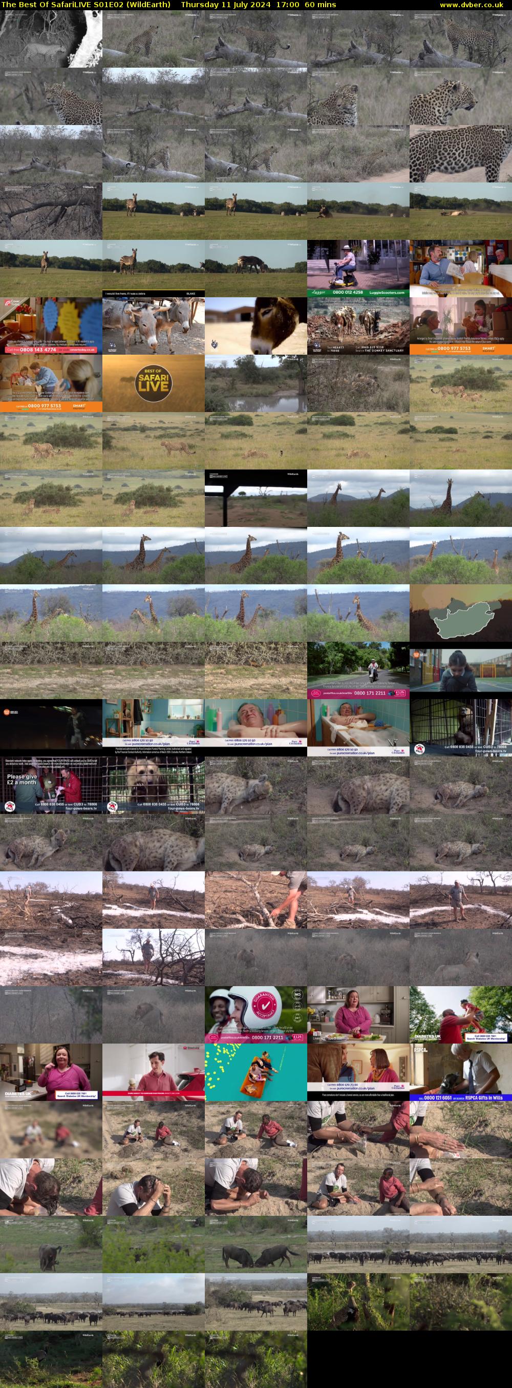 The Best Of SafariLIVE S01E02 (WildEarth) Thursday 11 July 2024 17:00 - 18:00