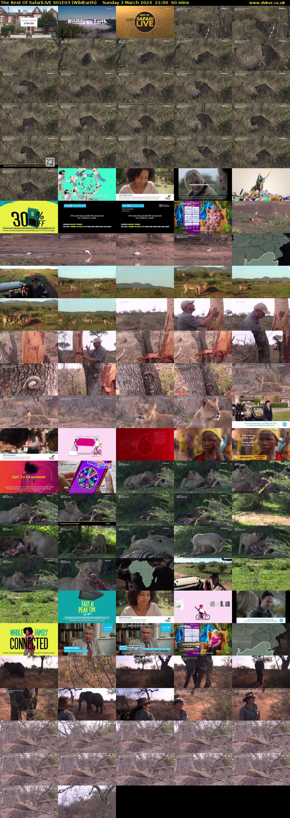 The Best Of SafariLIVE S01E03 (WildEarth) Sunday 3 March 2024 21:00 - 22:00