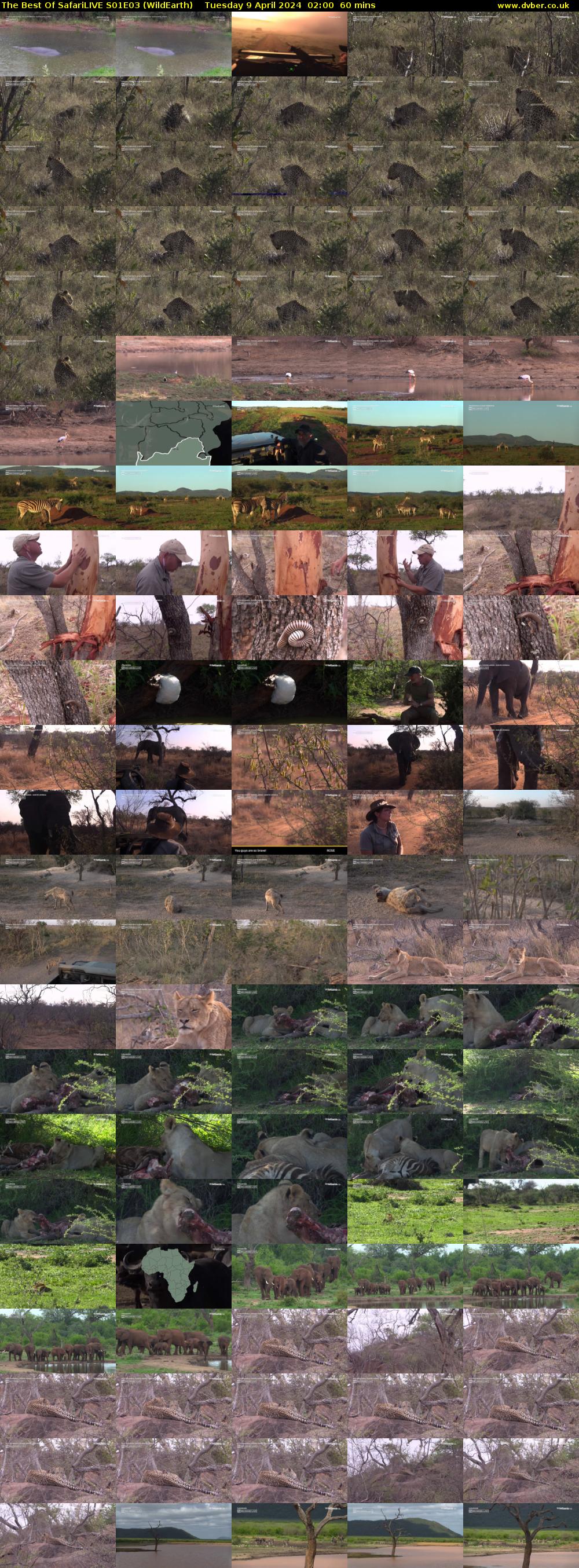 The Best Of SafariLIVE S01E03 (WildEarth) Tuesday 9 April 2024 02:00 - 03:00