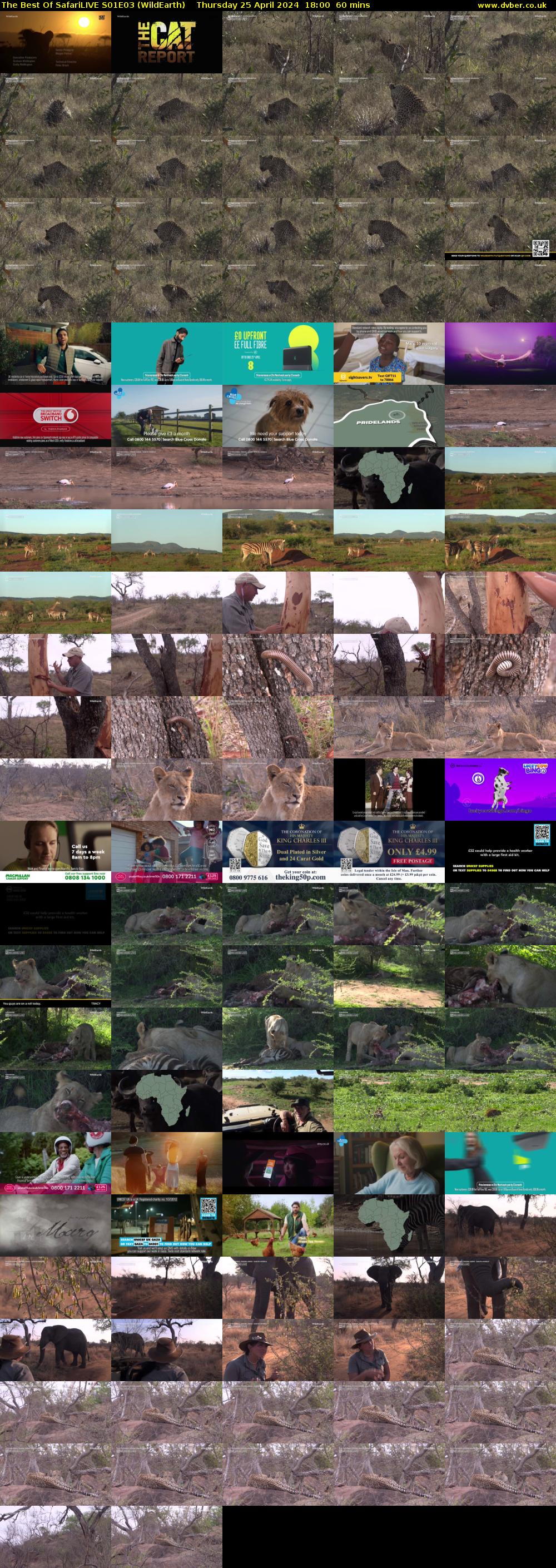 The Best Of SafariLIVE S01E03 (WildEarth) Thursday 25 April 2024 18:00 - 19:00