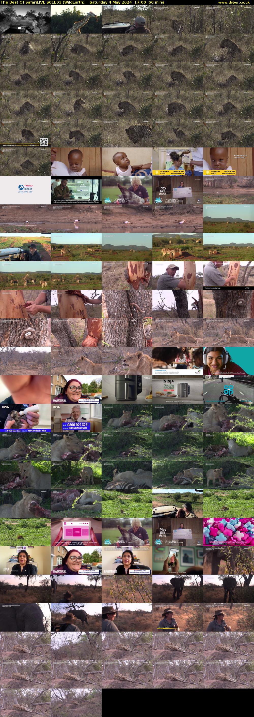 The Best Of SafariLIVE S01E03 (WildEarth) Saturday 4 May 2024 17:00 - 18:00