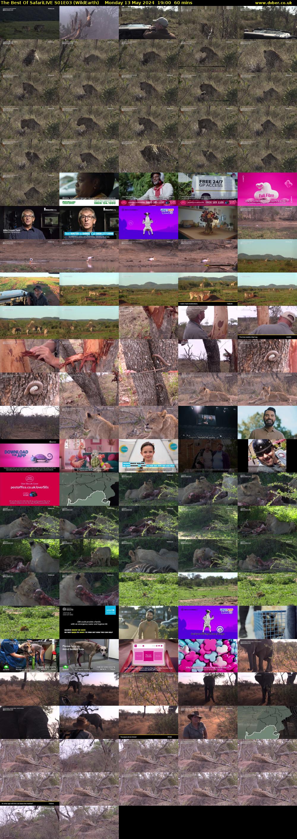 The Best Of SafariLIVE S01E03 (WildEarth) Monday 13 May 2024 19:00 - 20:00