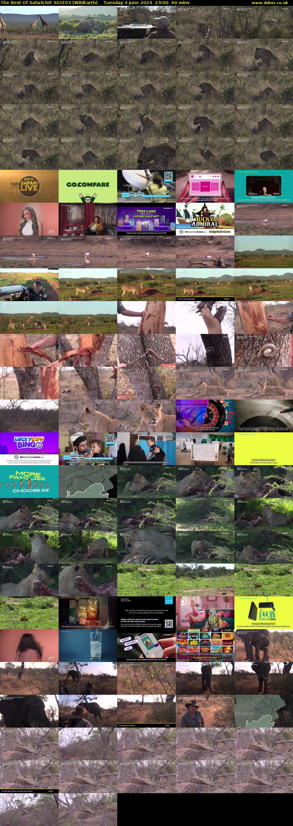 The Best Of SafariLIVE S01E03 (WildEarth) Tuesday 4 June 2024 23:00 - 00:00