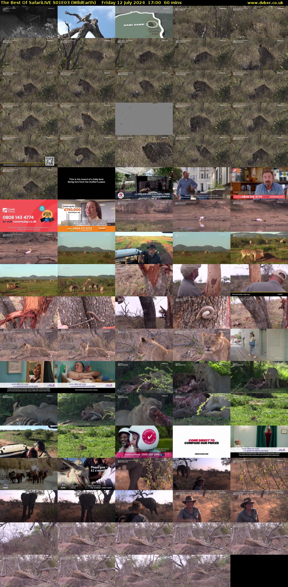 The Best Of SafariLIVE S01E03 (WildEarth) Friday 12 July 2024 17:00 - 18:00