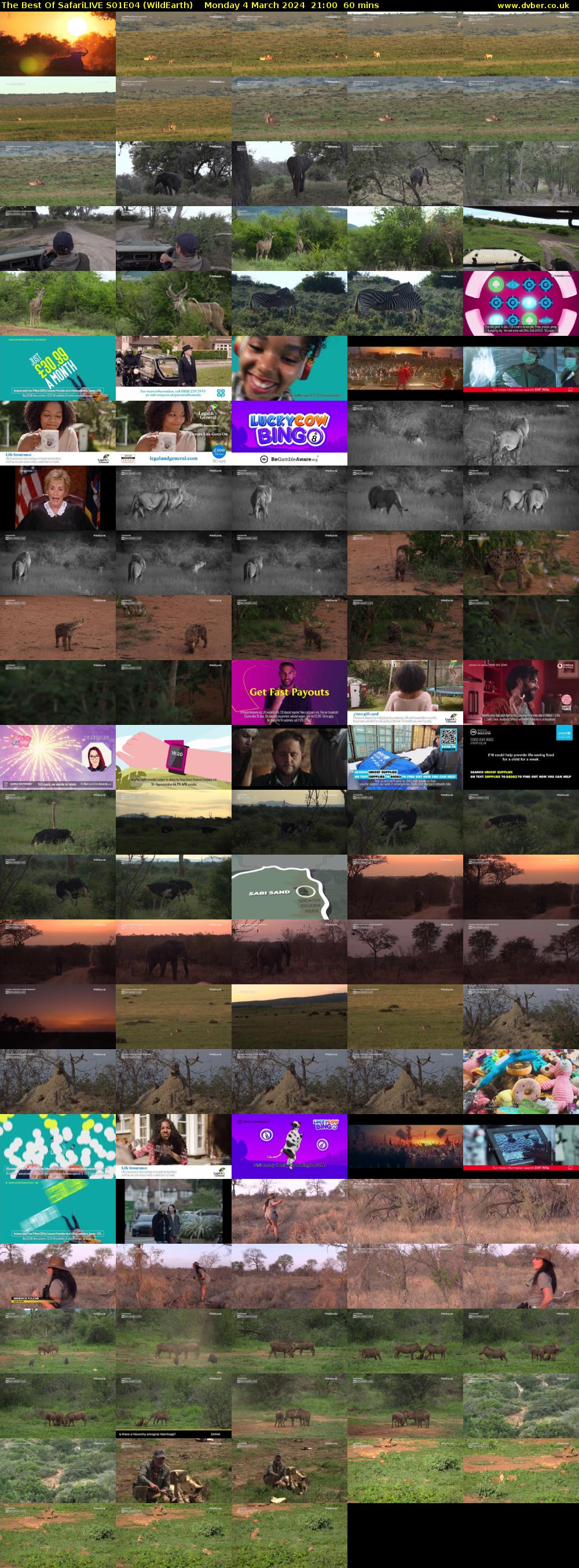 The Best Of SafariLIVE S01E04 (WildEarth) Monday 4 March 2024 21:00 - 22:00