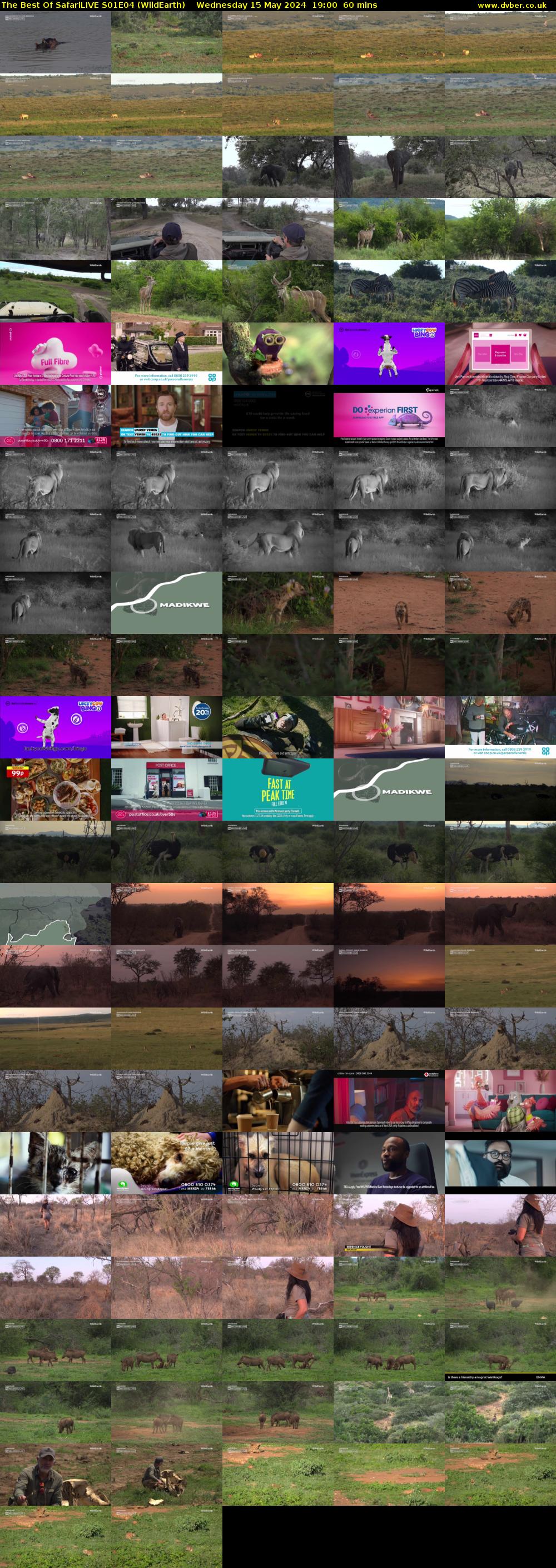 The Best Of SafariLIVE S01E04 (WildEarth) Wednesday 15 May 2024 19:00 - 20:00