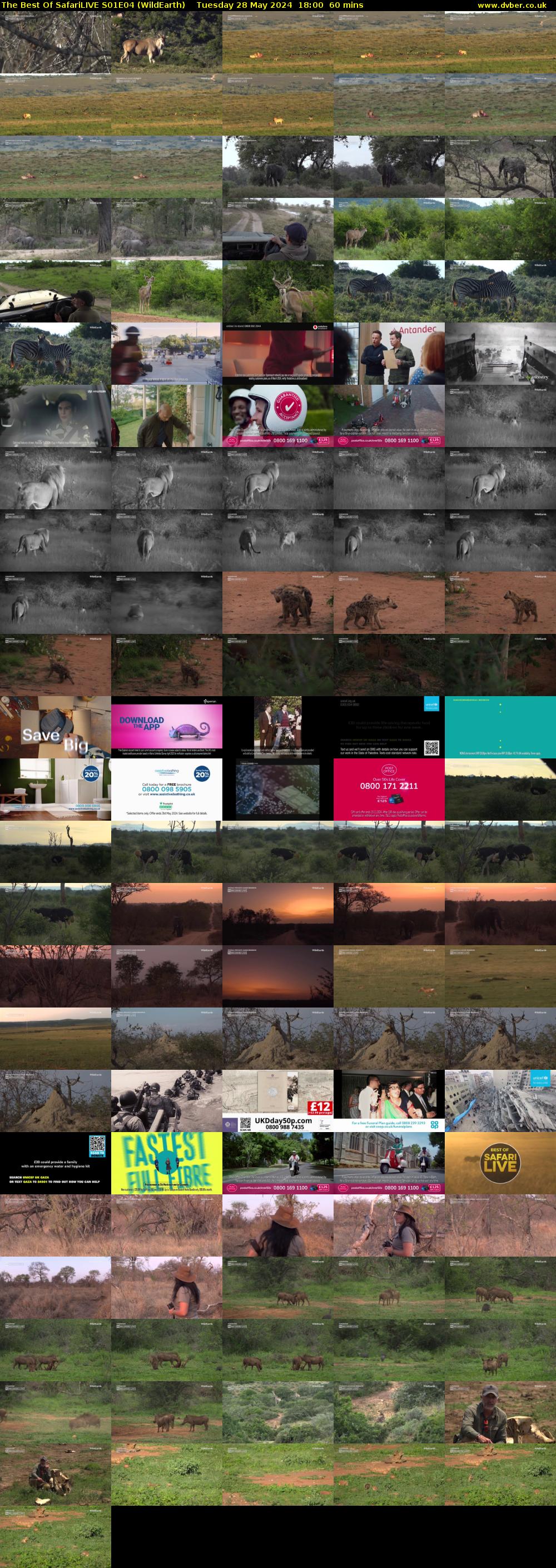 The Best Of SafariLIVE S01E04 (WildEarth) Tuesday 28 May 2024 18:00 - 19:00