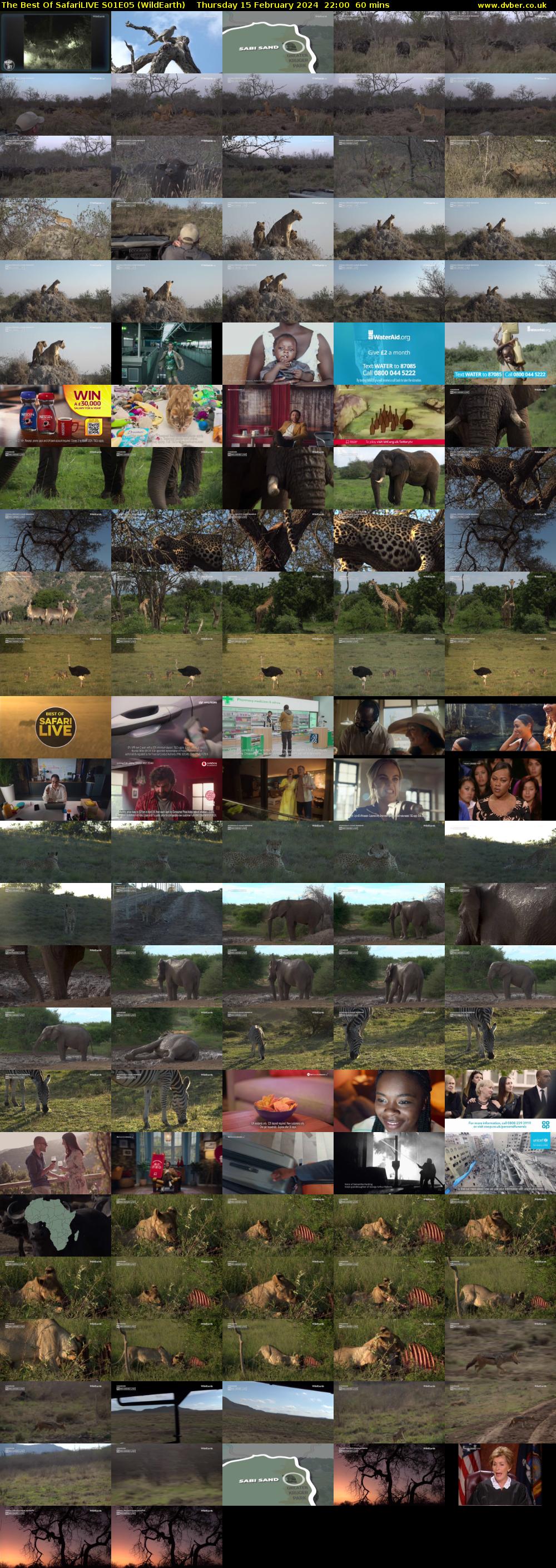 The Best Of SafariLIVE S01E05 (WildEarth) Thursday 15 February 2024 22:00 - 23:00