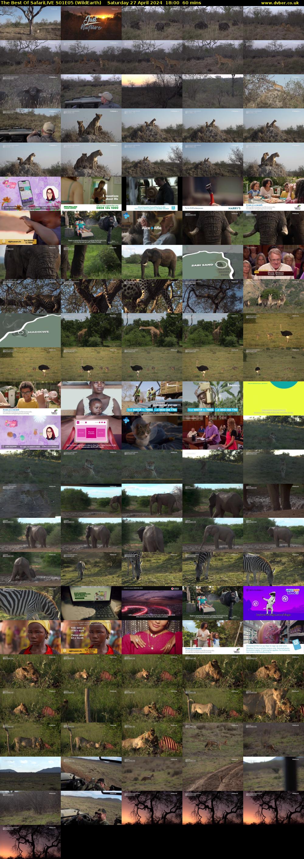 The Best Of SafariLIVE S01E05 (WildEarth) Saturday 27 April 2024 18:00 - 19:00