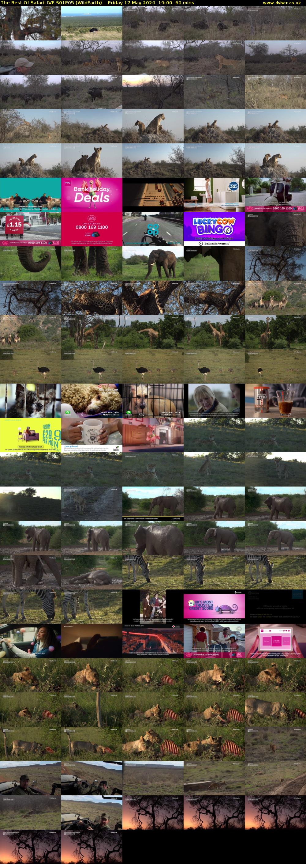 The Best Of SafariLIVE S01E05 (WildEarth) Friday 17 May 2024 19:00 - 20:00