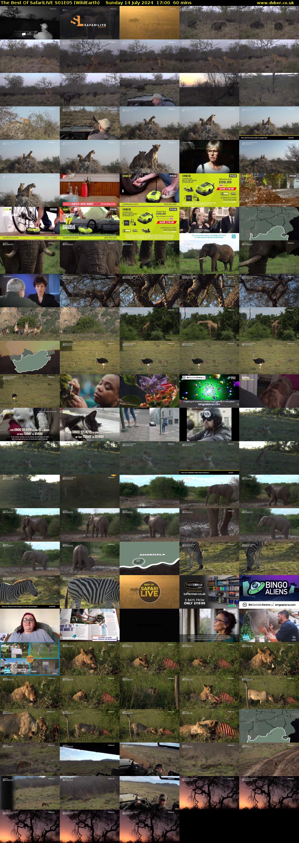The Best Of SafariLIVE S01E05 (WildEarth) Sunday 14 July 2024 17:00 - 18:00