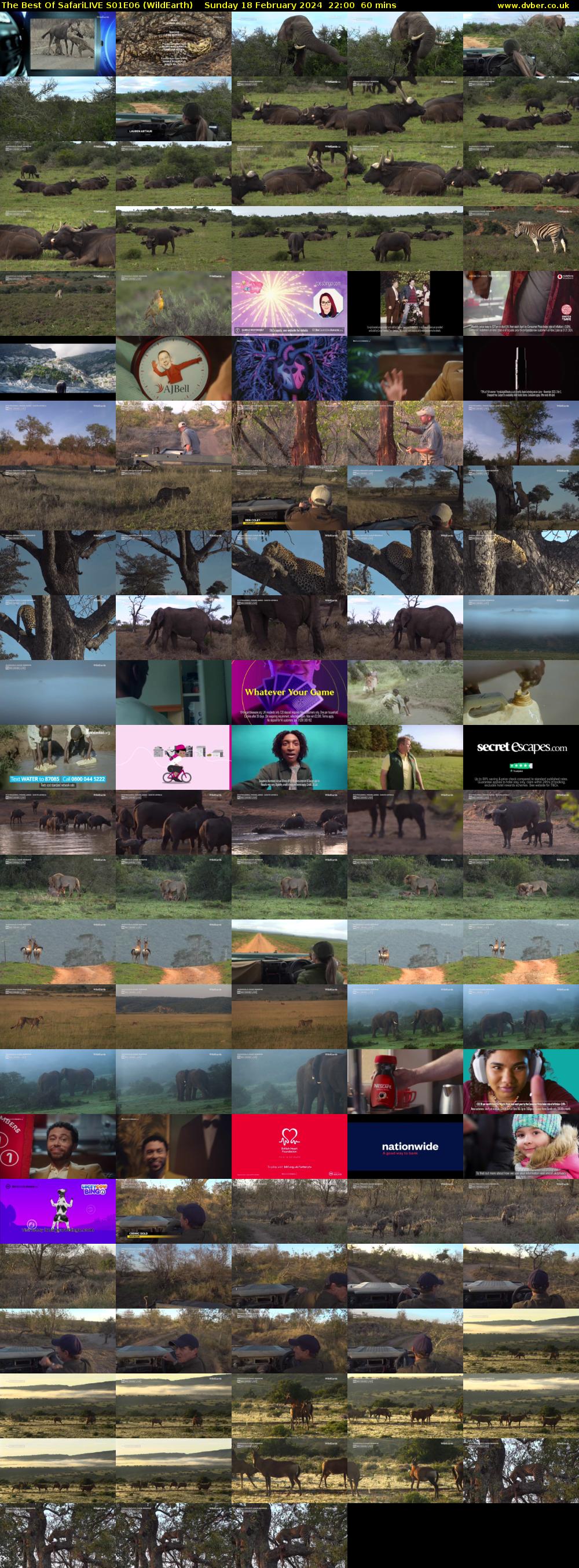 The Best Of SafariLIVE S01E06 (WildEarth) Sunday 18 February 2024 22:00 - 23:00