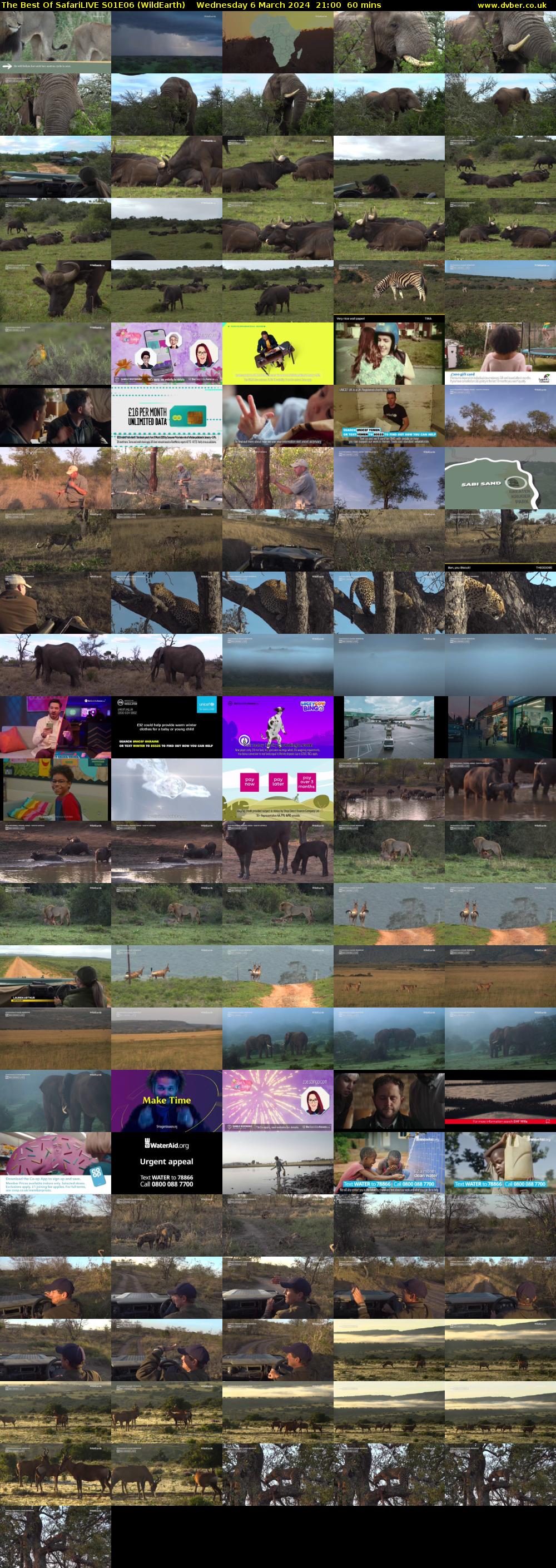 The Best Of SafariLIVE S01E06 (WildEarth) Wednesday 6 March 2024 21:00 - 22:00