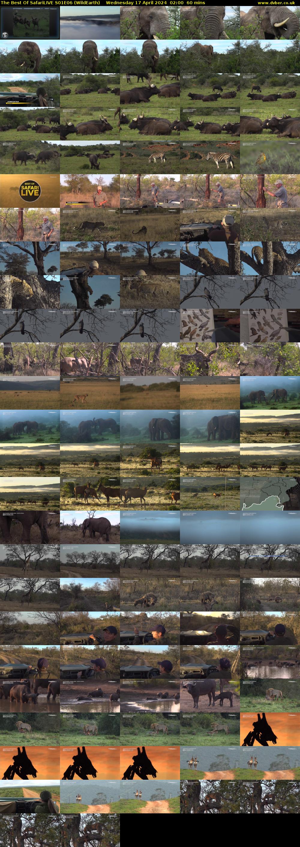 The Best Of SafariLIVE S01E06 (WildEarth) Wednesday 17 April 2024 02:00 - 03:00