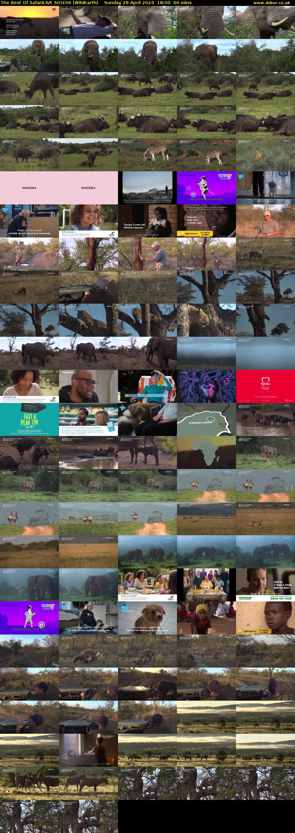 The Best Of SafariLIVE S01E06 (WildEarth) Sunday 28 April 2024 18:00 - 19:00