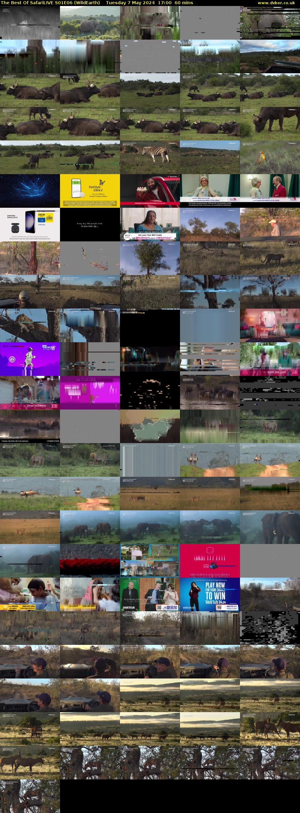 The Best Of SafariLIVE S01E06 (WildEarth) Tuesday 7 May 2024 17:00 - 18:00