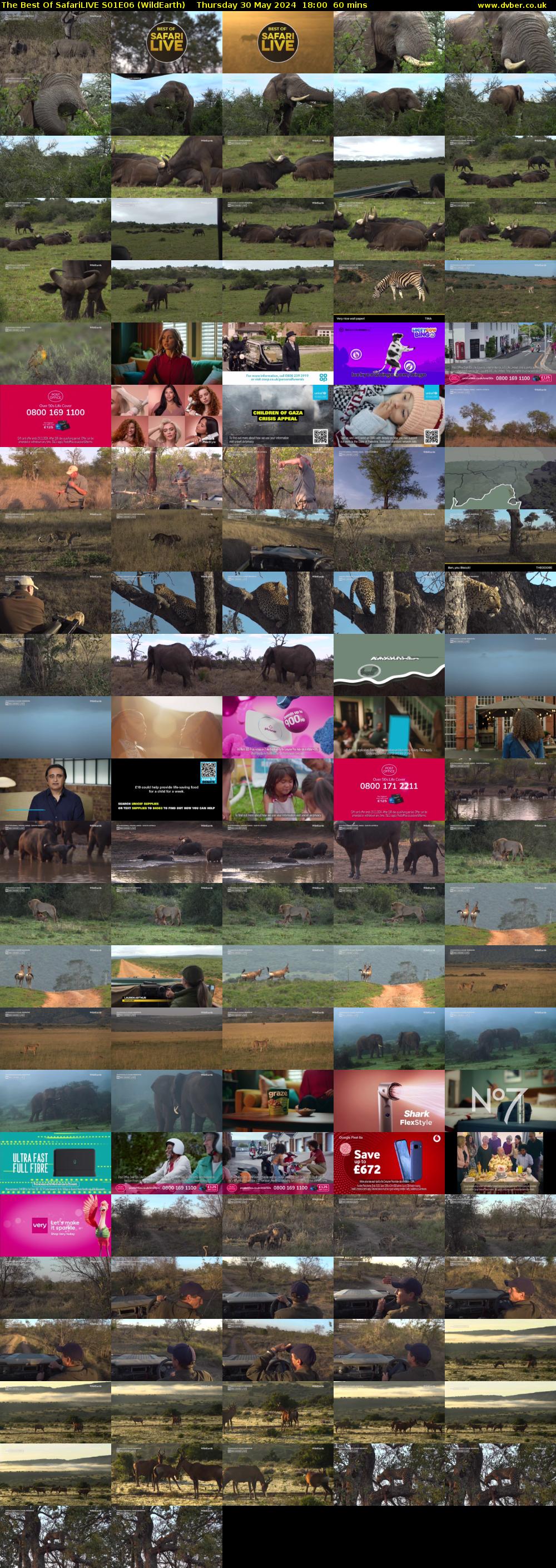 The Best Of SafariLIVE S01E06 (WildEarth) Thursday 30 May 2024 18:00 - 19:00