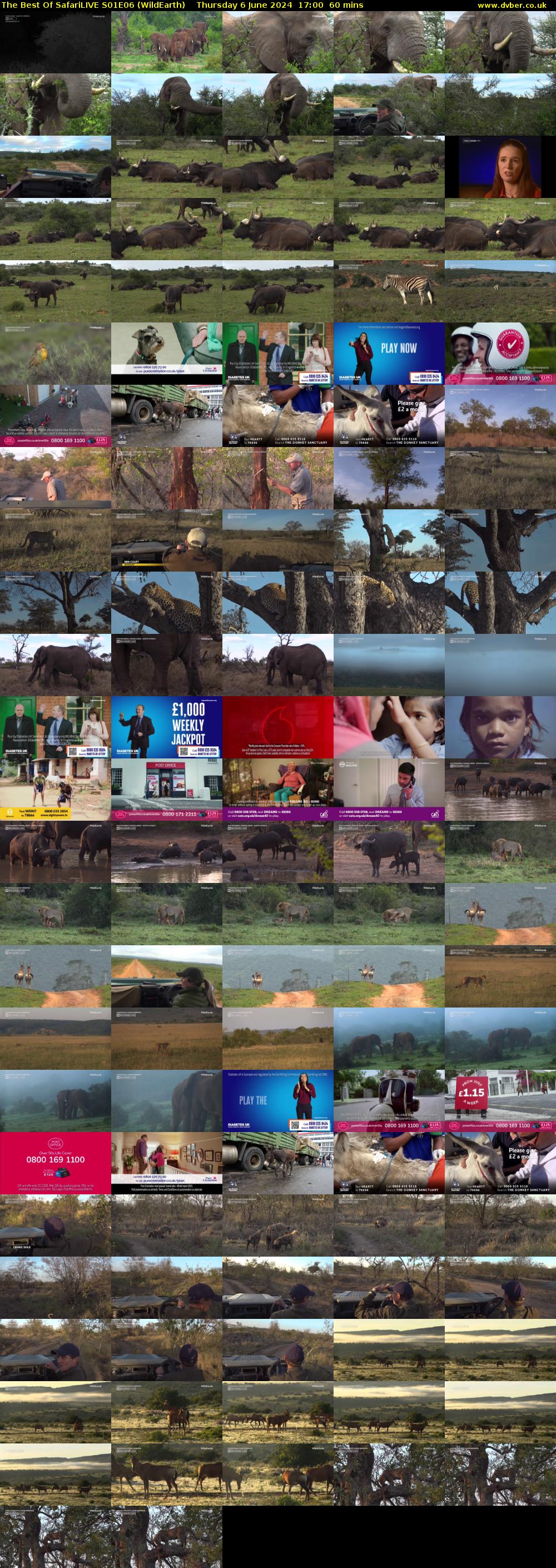 The Best Of SafariLIVE S01E06 (WildEarth) Thursday 6 June 2024 17:00 - 18:00