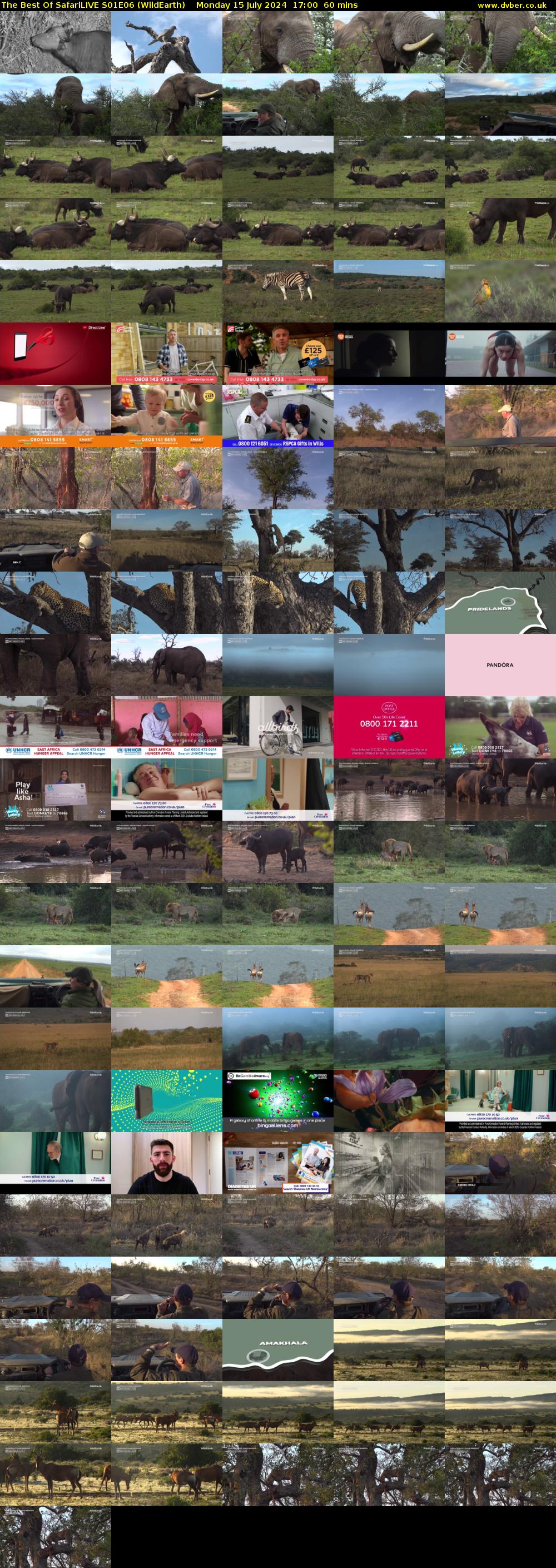 The Best Of SafariLIVE S01E06 (WildEarth) Monday 15 July 2024 17:00 - 18:00