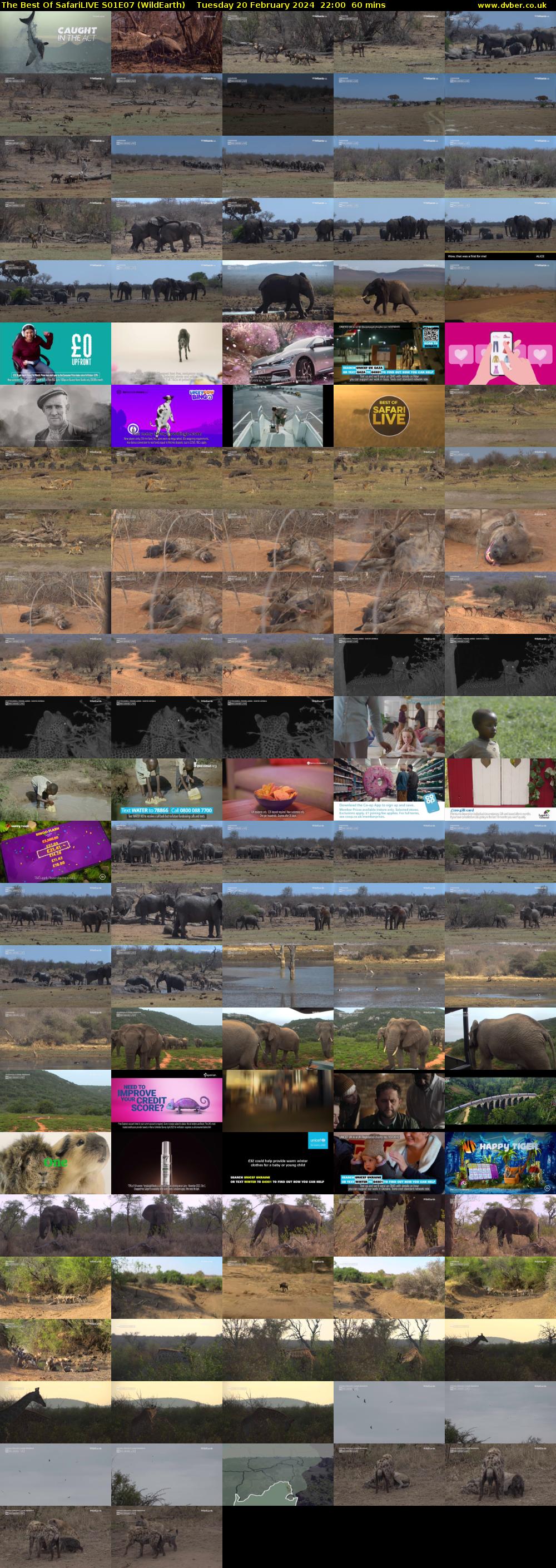 The Best Of SafariLIVE S01E07 (WildEarth) Tuesday 20 February 2024 22:00 - 23:00