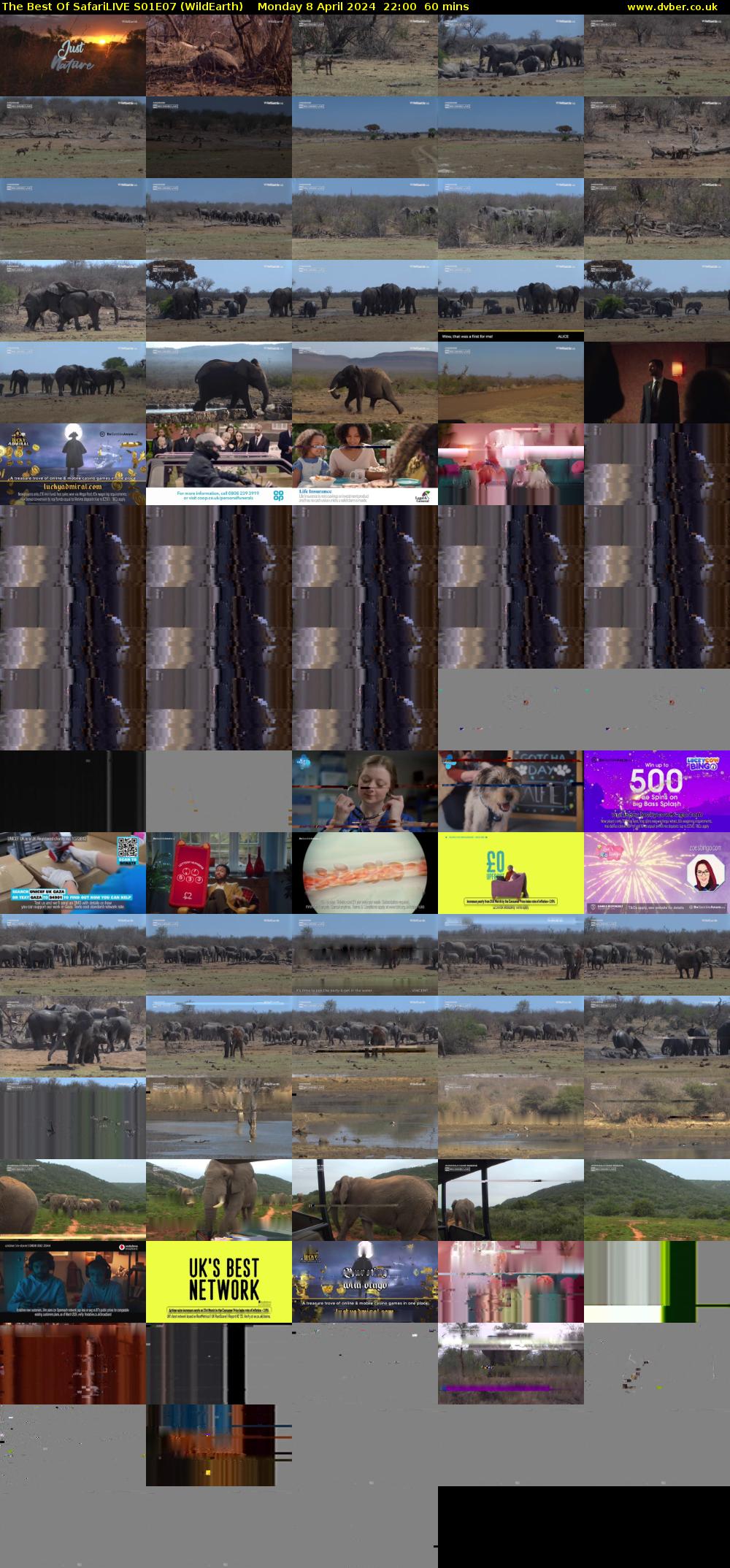 The Best Of SafariLIVE S01E07 (WildEarth) Monday 8 April 2024 22:00 - 23:00