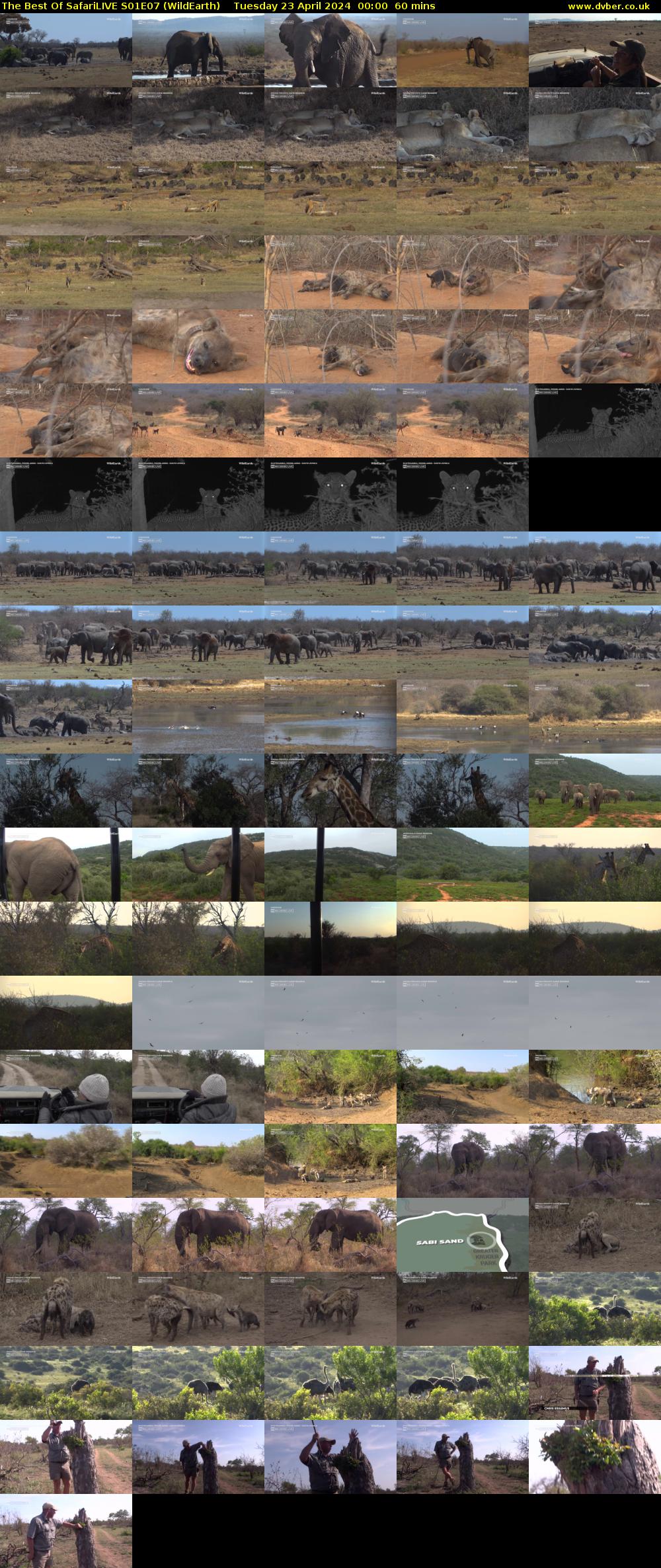 The Best Of SafariLIVE S01E07 (WildEarth) Tuesday 23 April 2024 00:00 - 01:00