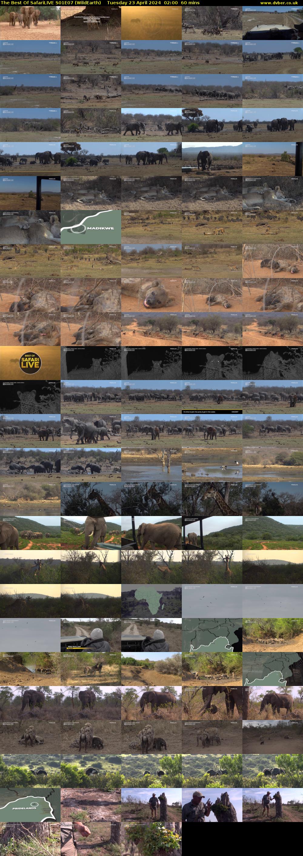 The Best Of SafariLIVE S01E07 (WildEarth) Tuesday 23 April 2024 02:00 - 03:00