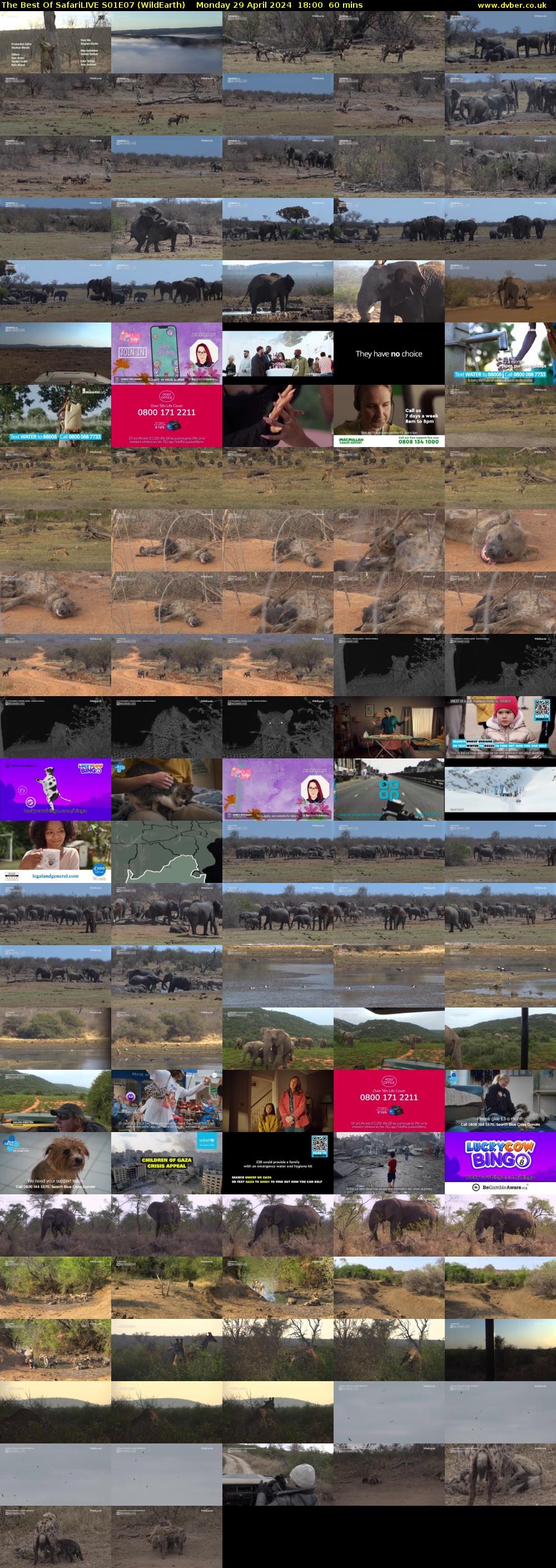 The Best Of SafariLIVE S01E07 (WildEarth) Monday 29 April 2024 18:00 - 19:00