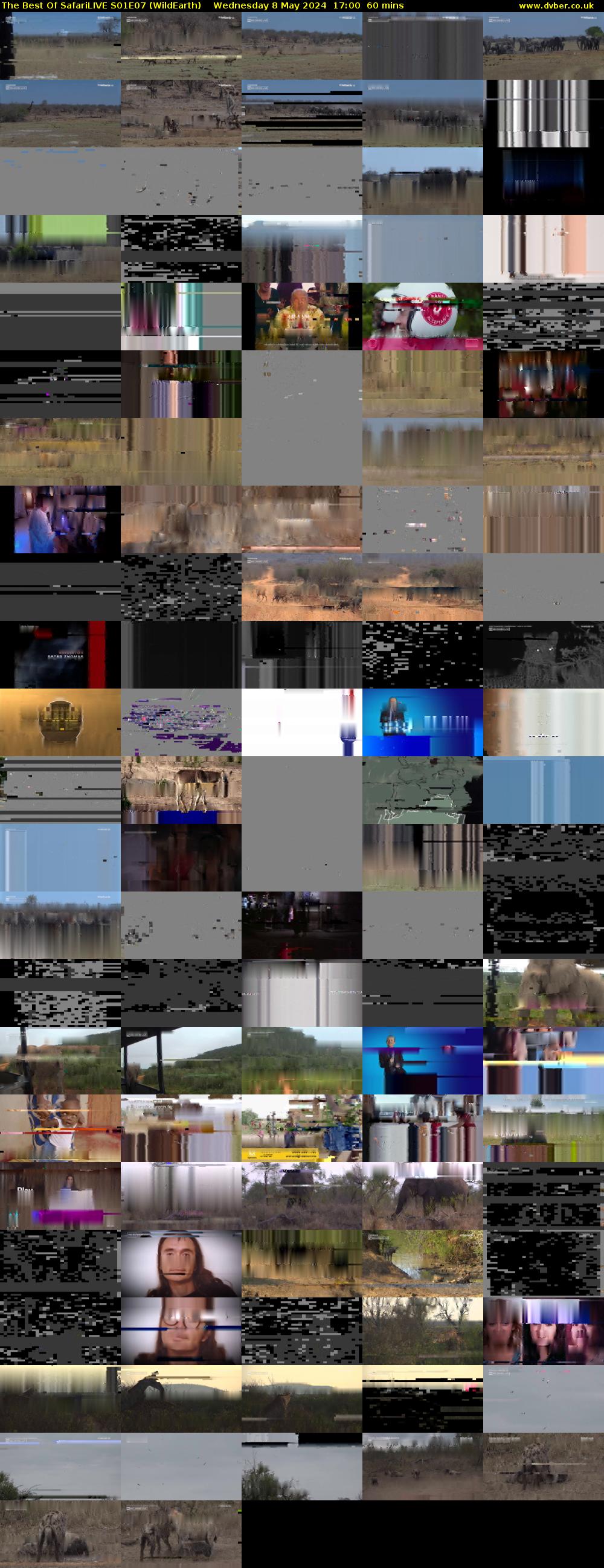 The Best Of SafariLIVE S01E07 (WildEarth) Wednesday 8 May 2024 17:00 - 18:00